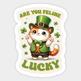 Are You Feline Lucky Funny Cat St. Patricks Day Sticker